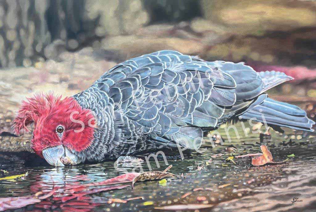 Refreshing Drink - by Sam Pennisi - Limited Edition Print on Canvas