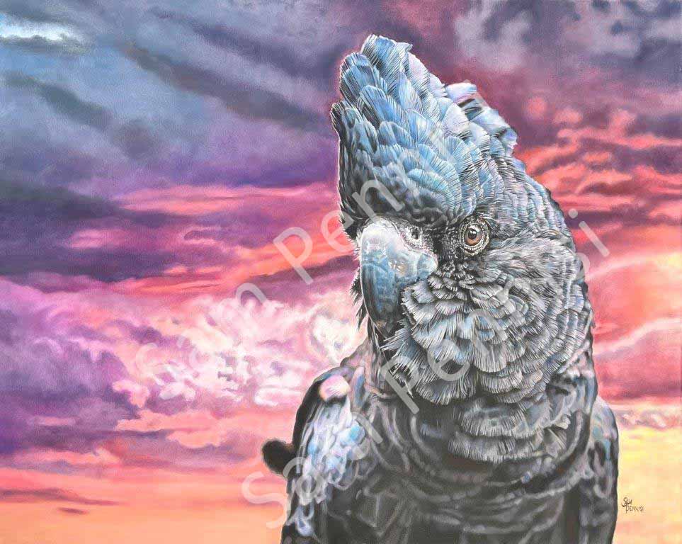 Cockatoo Sunset - by Sam Pennisi - Limited Edition Print on Canvas