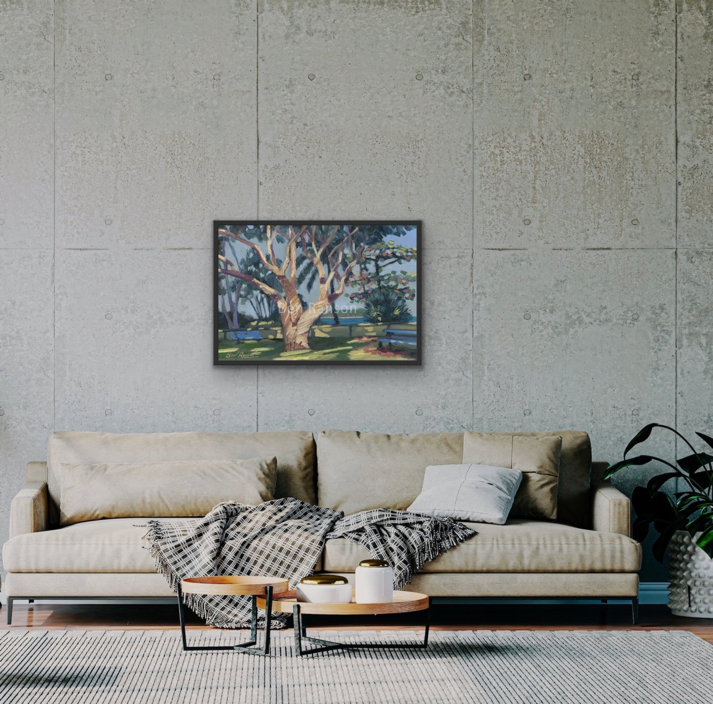 Melaleuca Trees Mackay Town Beach by Ben Ranson - Limited Edition Canvas