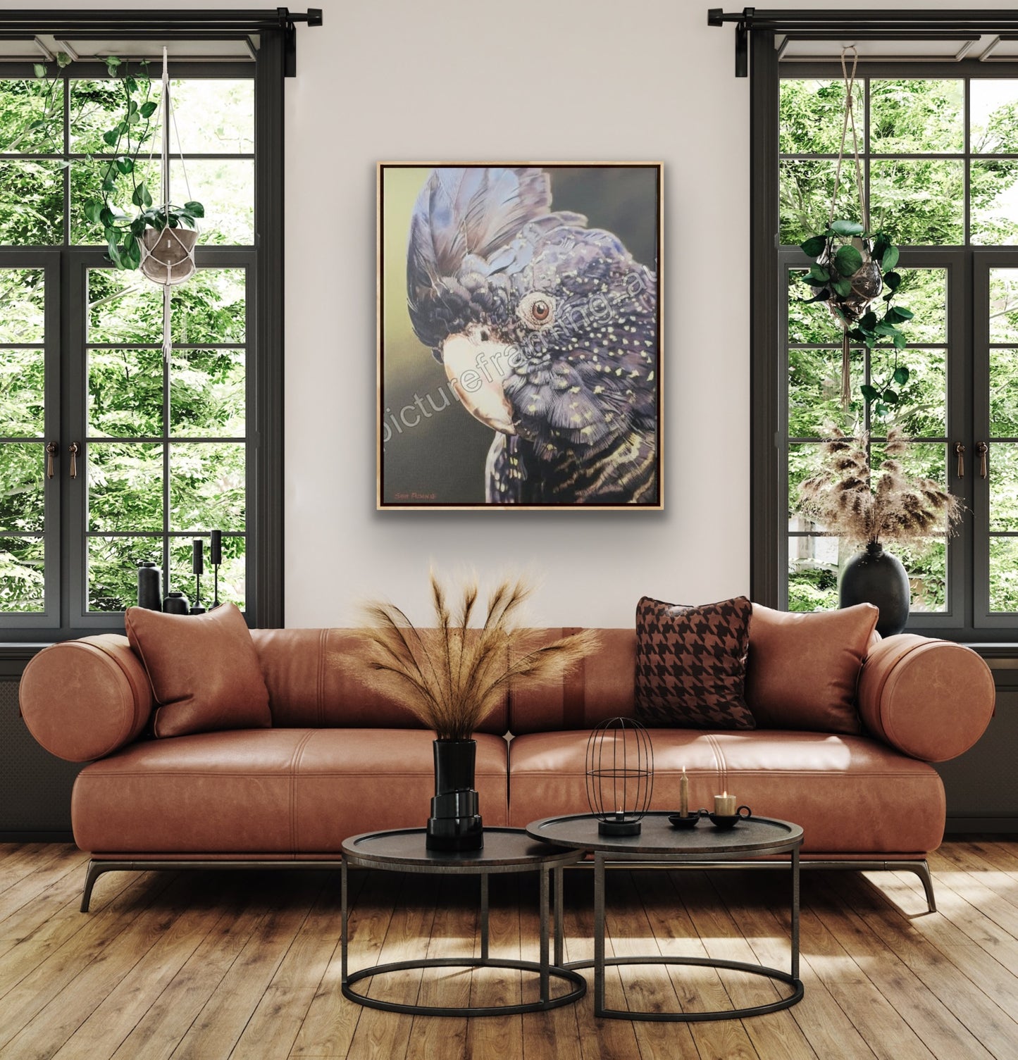 Black Cockatoo Framed Canvas Limited Edition Print by Sam Pennisi