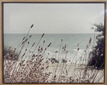 Wildflowers on the beach