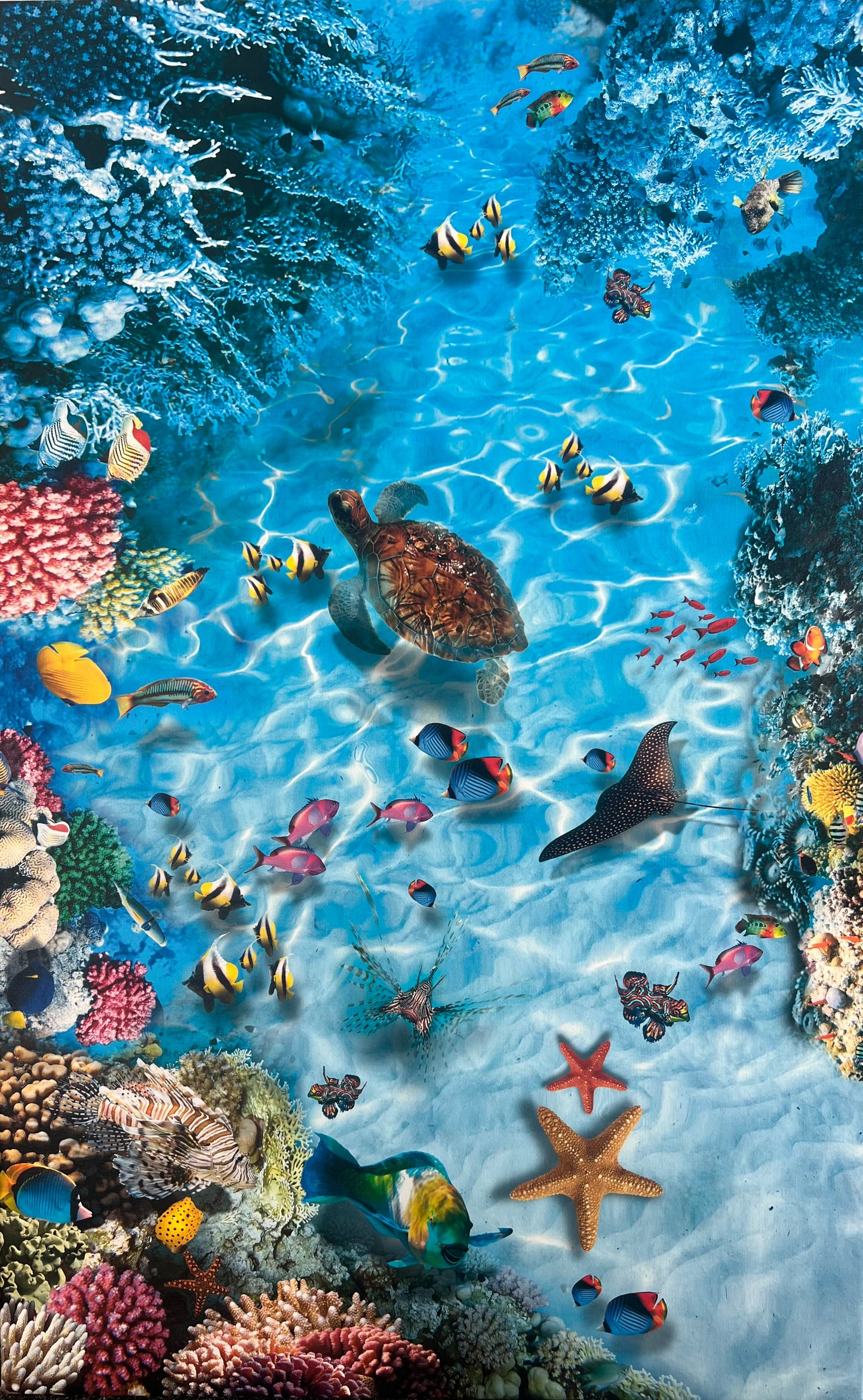 Reef Printed Canvas by TJ Picture Framing 52cm x 78cm