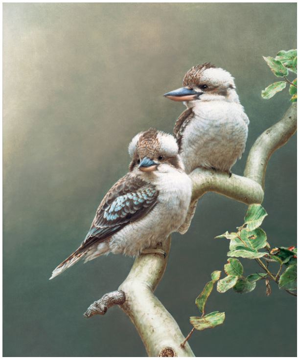 Greg Postle - Sitting Pretty Framed 55x66cm