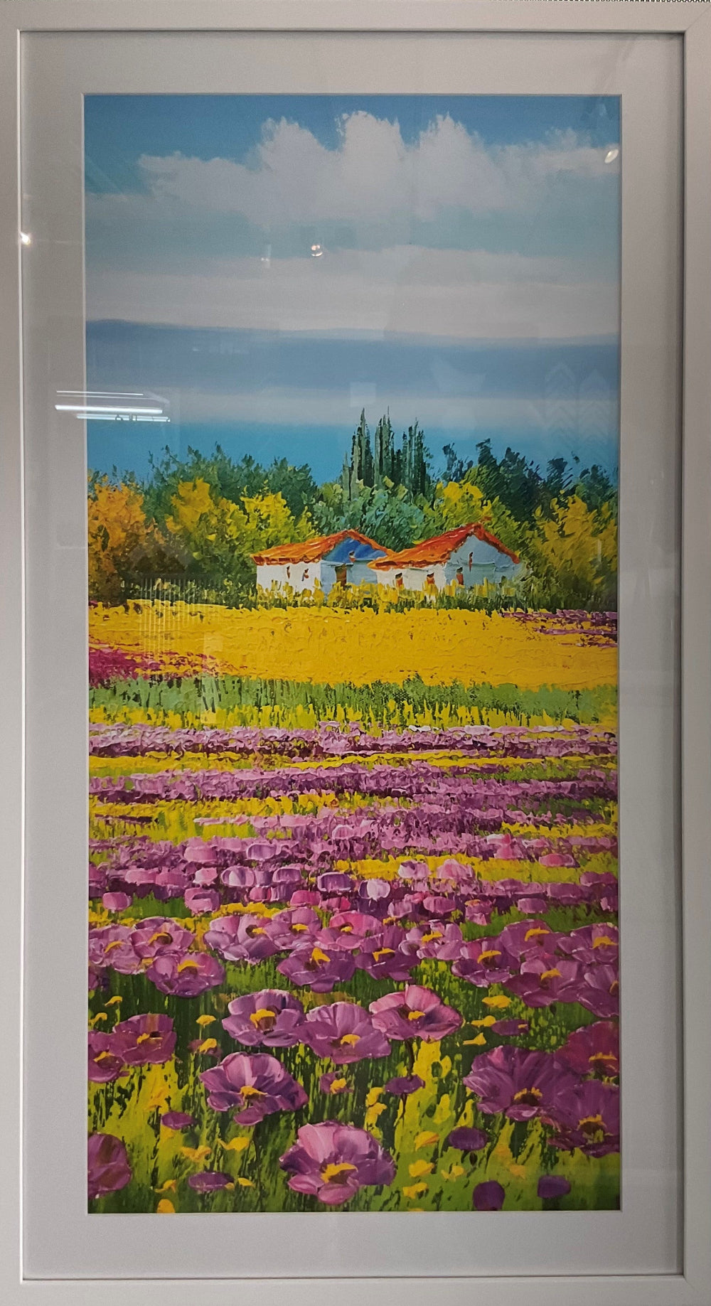 Cottage Tulip Flowers