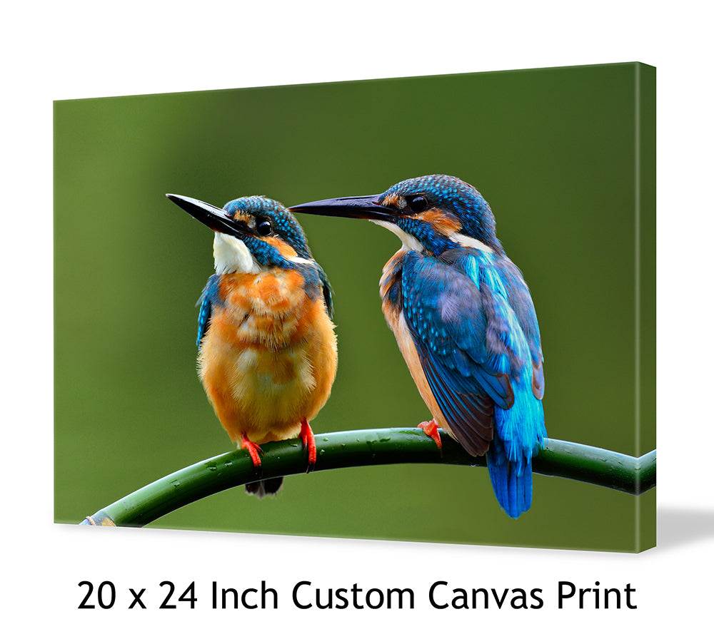 20 x 24 Inch Custom Canvas Print