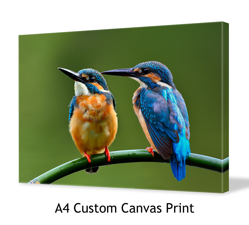 A4 Custom Canvas Print