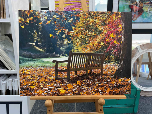 Autumn leaves