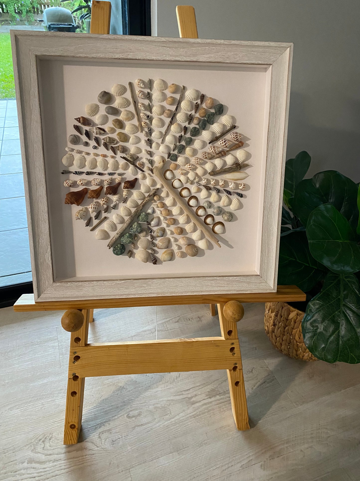 Shells and things
