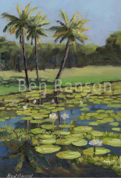 Botanical Gardens -South Sea Islander Hut - water lillies by Ben Ranson - Limited Edition Canvas