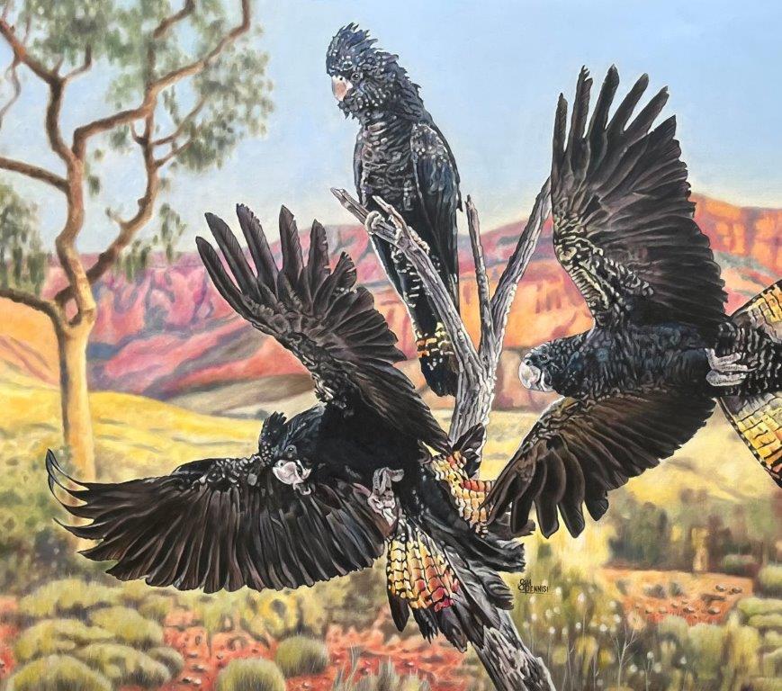 Cockatoo Country - by Sam Pennisi - Limited Edition Print on Canvas