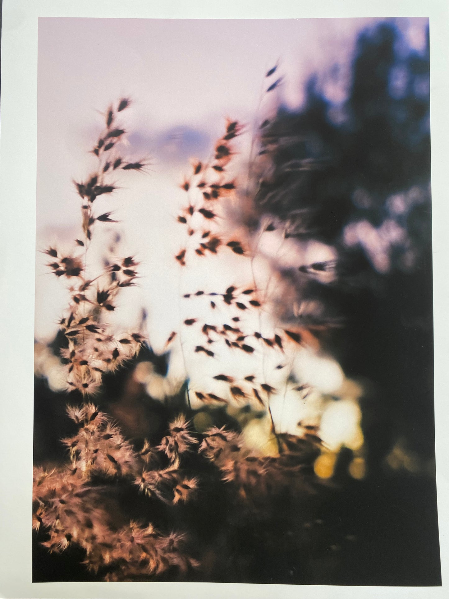 Matt Paper Prints