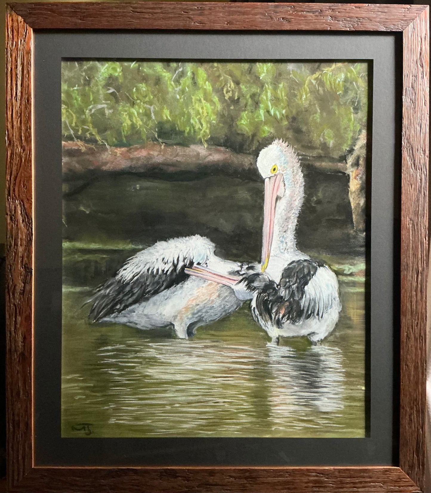 North Mackay Australian Pelicans by Michael Jones 68cm x 87cm