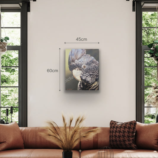 Black Cockatoo Framed Canvas Limited Edition Print by Sam Pennisi