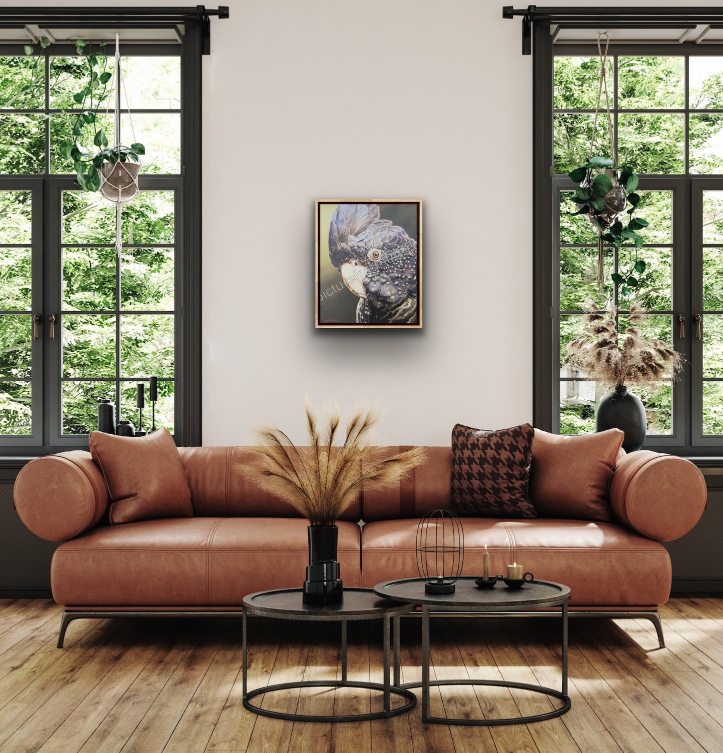 Black Cockatoo Framed Canvas Limited Edition Print by Sam Pennisi