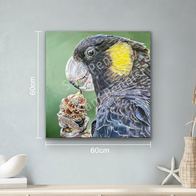 Banksia Banquet - by Sam Pennisi - Limited Edition Print on Canvas