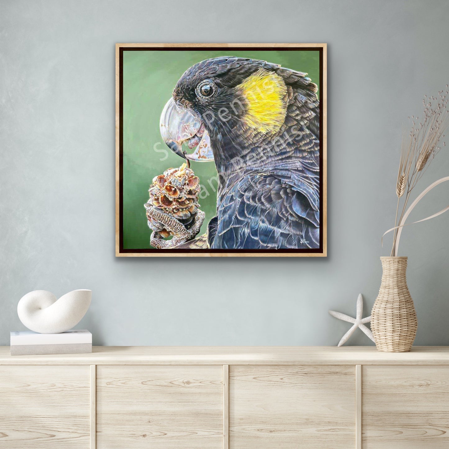 Banksia Banquet - by Sam Pennisi - Limited Edition Print on Canvas