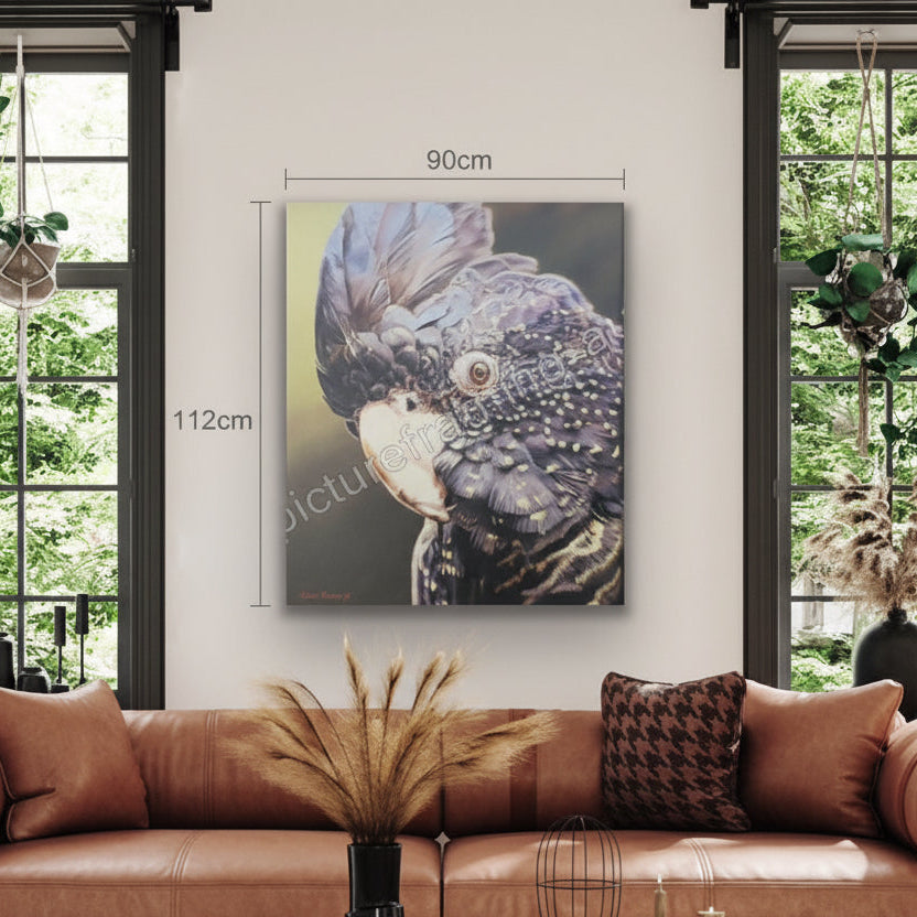 Black Cockatoo Framed Canvas Limited Edition Print by Sam Pennisi