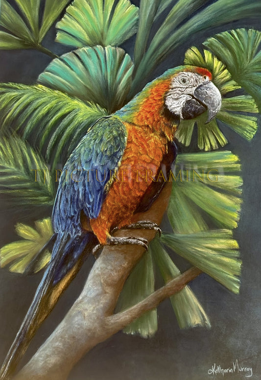 Mr McCaw - by Kartherin Murray - Limited Edition Canvas