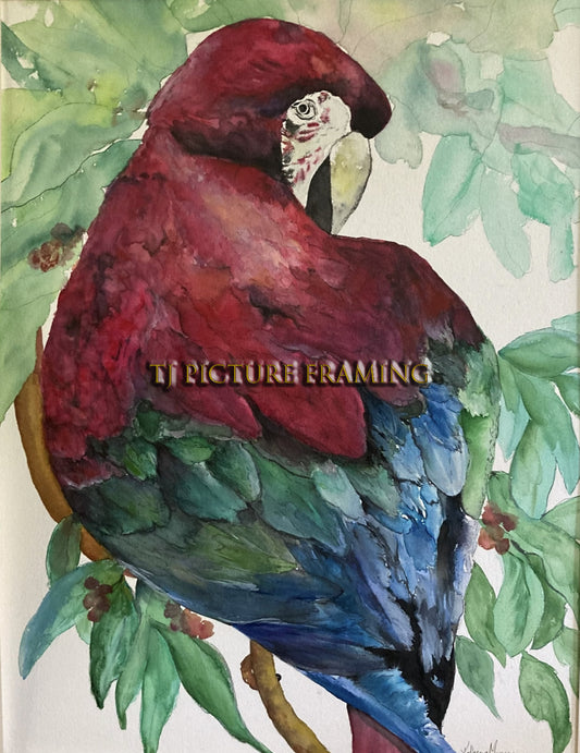Red Parrot - by Kartherin Murray - Limited Edition Canvas