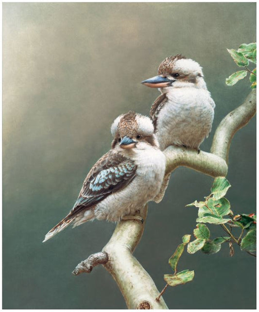 Greg Postle - Sitting Pretty Framed 55x66cm
