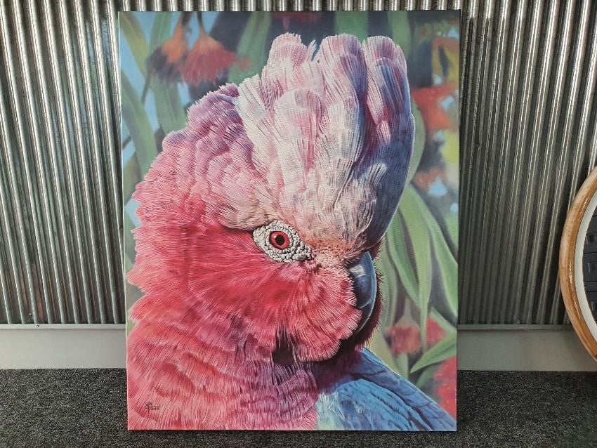 Gladys Gallah Framed Canvas Painting by Sam Pennisi 61cm x 66cm Award Winning