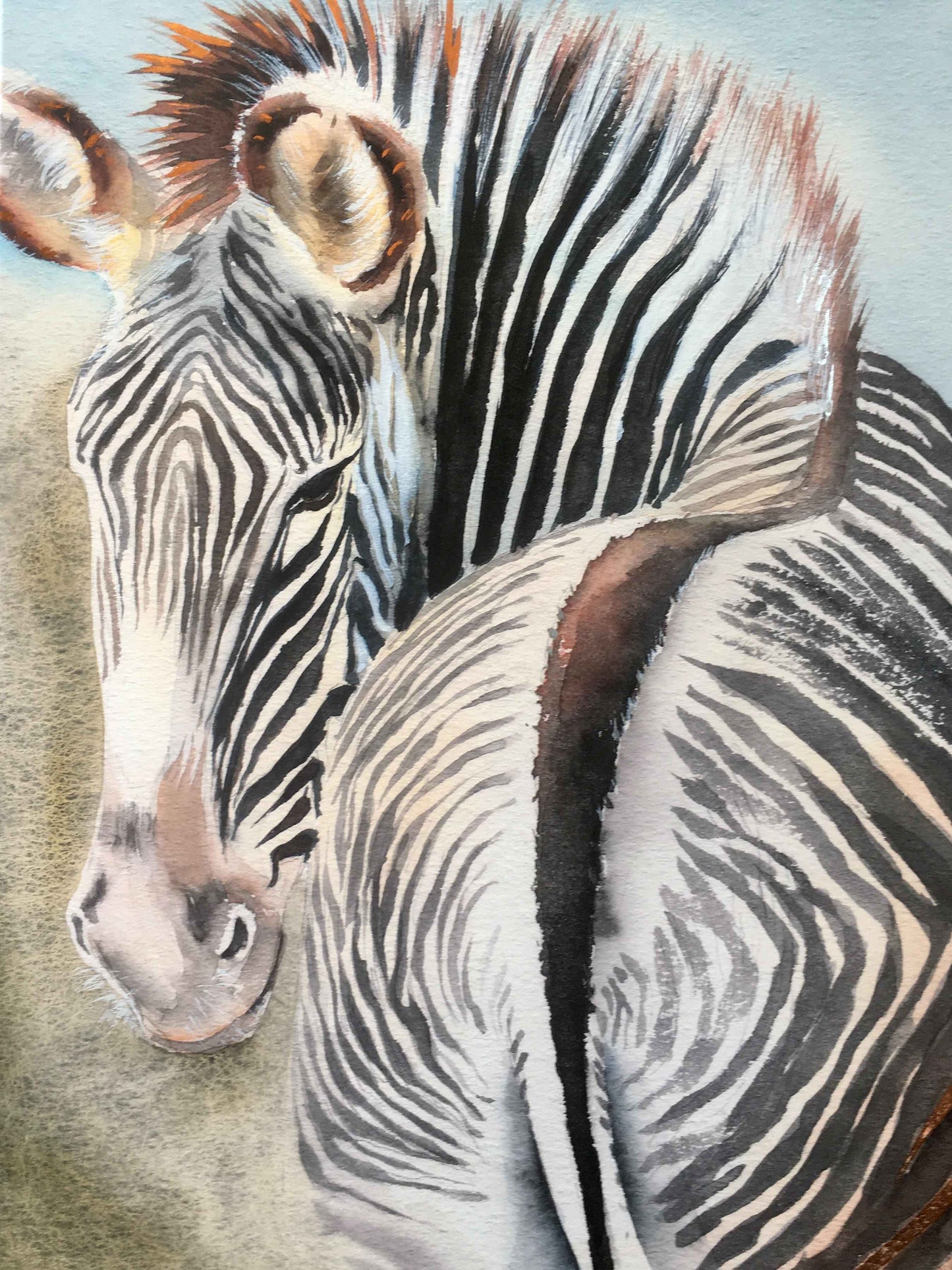 Zebra canvas