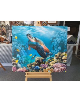 Turtle Canvas By TJ Picture Framing 119cm x 100cm
