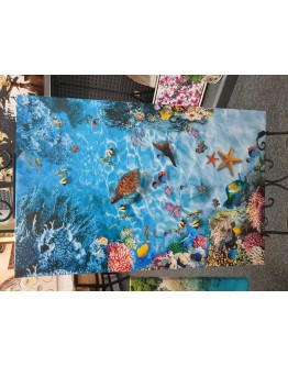 Reef Printed Canvas by TJ Picture Framing 52cm x 78cm