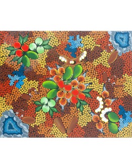Aboriginal Floral Art 54x44cm