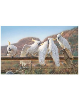 Greg Postle - Waterline Framed Canvas 110x68cm